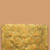 FOCACCIA semi chia-2